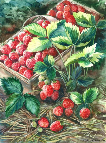 Земляничная поляна рисунок
